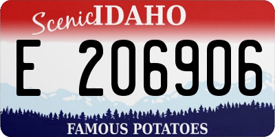 ID license plate E206906