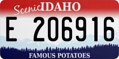 ID license plate E206916