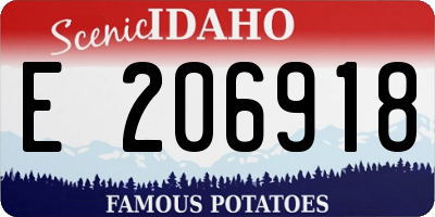 ID license plate E206918