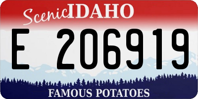ID license plate E206919