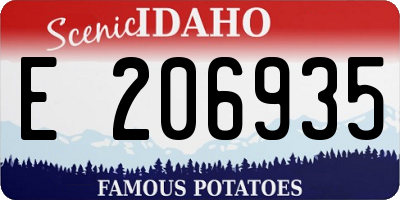 ID license plate E206935