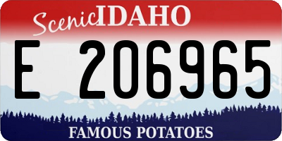 ID license plate E206965