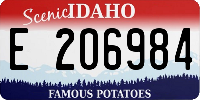 ID license plate E206984