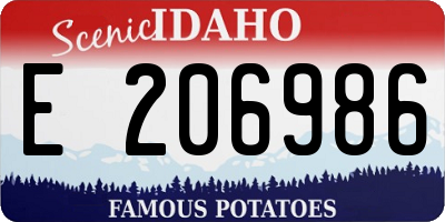 ID license plate E206986