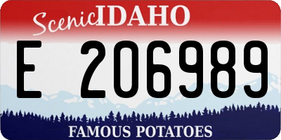 ID license plate E206989