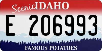 ID license plate E206993