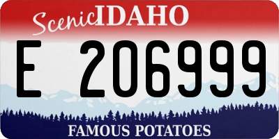 ID license plate E206999