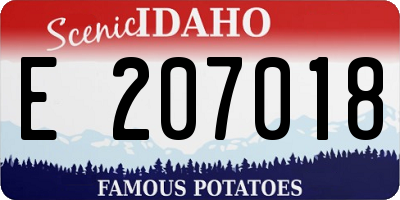 ID license plate E207018