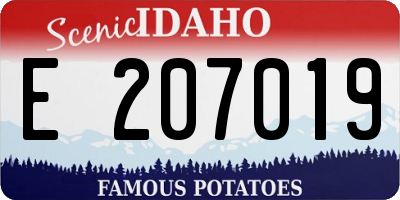 ID license plate E207019
