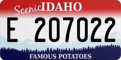 ID license plate E207022