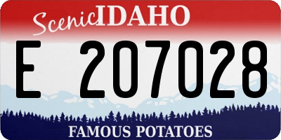 ID license plate E207028