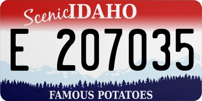 ID license plate E207035