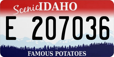 ID license plate E207036