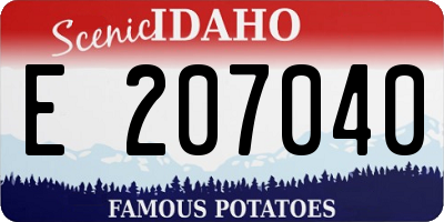 ID license plate E207040