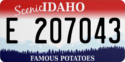 ID license plate E207043
