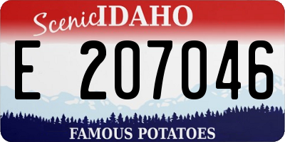 ID license plate E207046