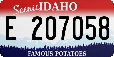 ID license plate E207058