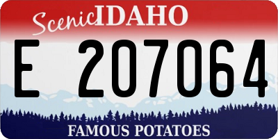 ID license plate E207064