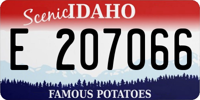 ID license plate E207066