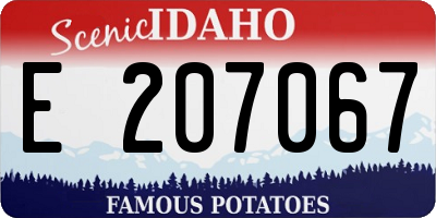 ID license plate E207067
