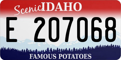 ID license plate E207068