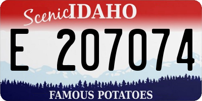 ID license plate E207074