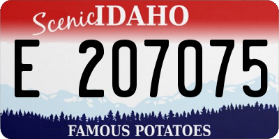 ID license plate E207075