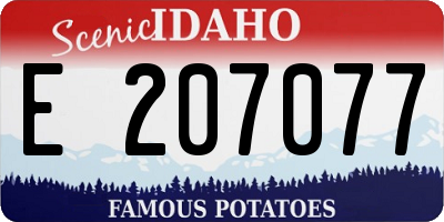 ID license plate E207077