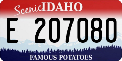 ID license plate E207080
