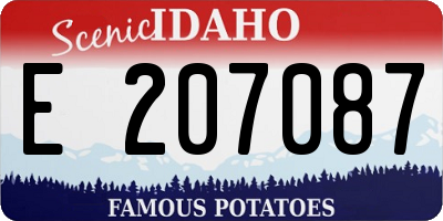 ID license plate E207087