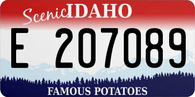ID license plate E207089