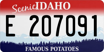ID license plate E207091