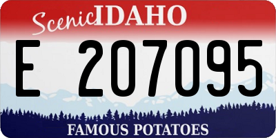 ID license plate E207095