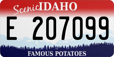 ID license plate E207099