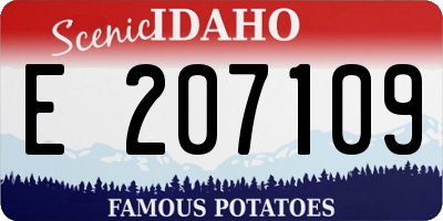 ID license plate E207109
