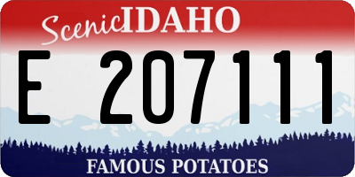 ID license plate E207111