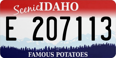 ID license plate E207113