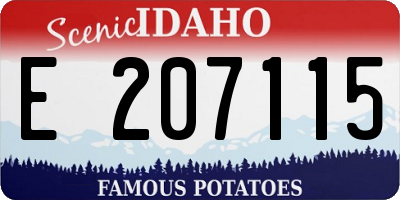 ID license plate E207115