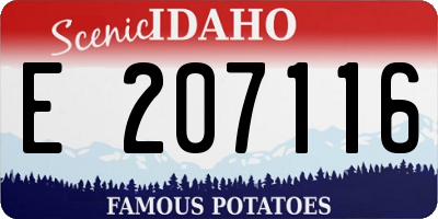 ID license plate E207116