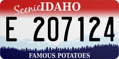ID license plate E207124