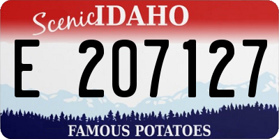 ID license plate E207127