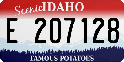 ID license plate E207128