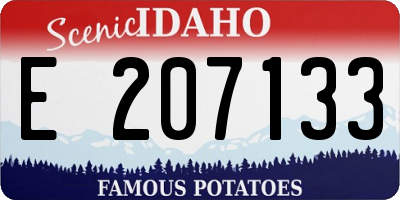 ID license plate E207133