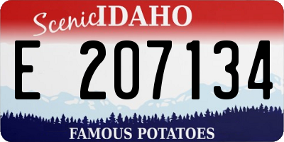 ID license plate E207134