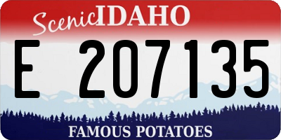 ID license plate E207135