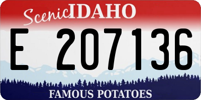 ID license plate E207136