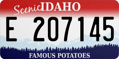 ID license plate E207145