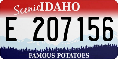ID license plate E207156
