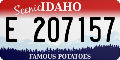 ID license plate E207157