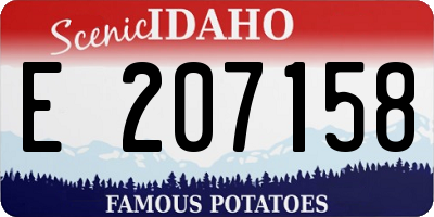 ID license plate E207158